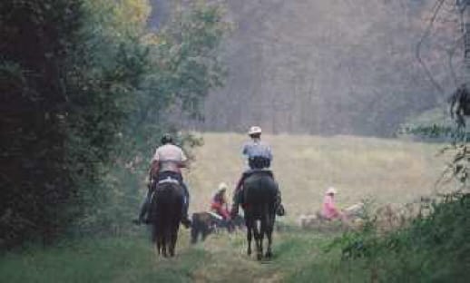 Horse trails